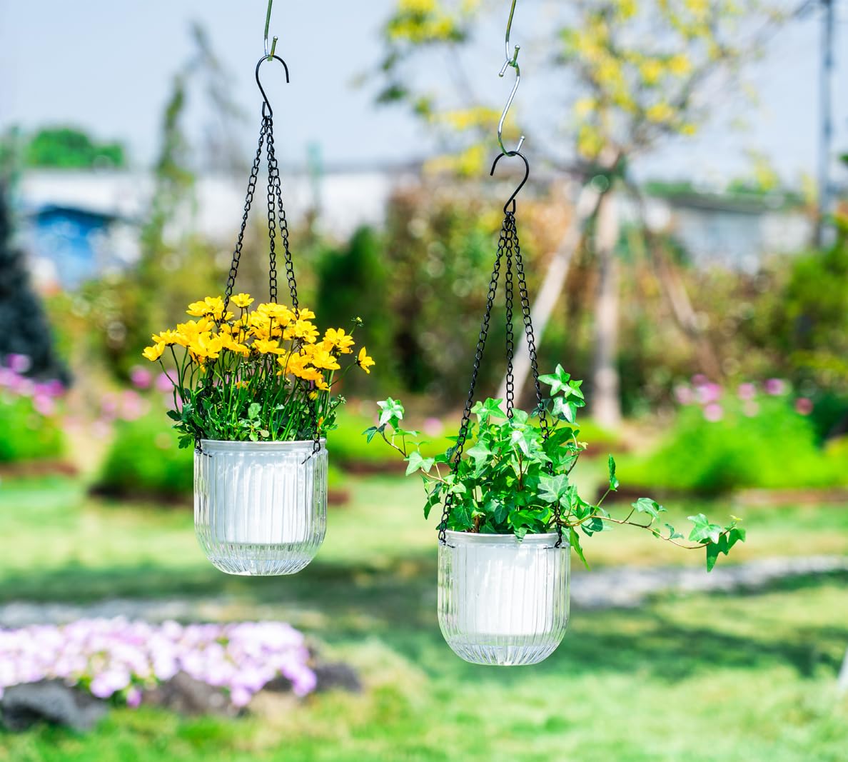 Set De MACETAS ☘️ COLGANTES Para Decorar Paredes O Ventanas, image size:1188x1067