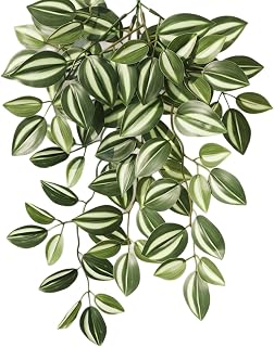50cm Artificial Peperomia Hanging Plant Artificial Ivy Climbing Plant in Black Pot, High Quality Silk Fake Greenery for Indoor Outdoor Home Office Kitchen Bedroom Decor, Low Maintenance Wall Hanging