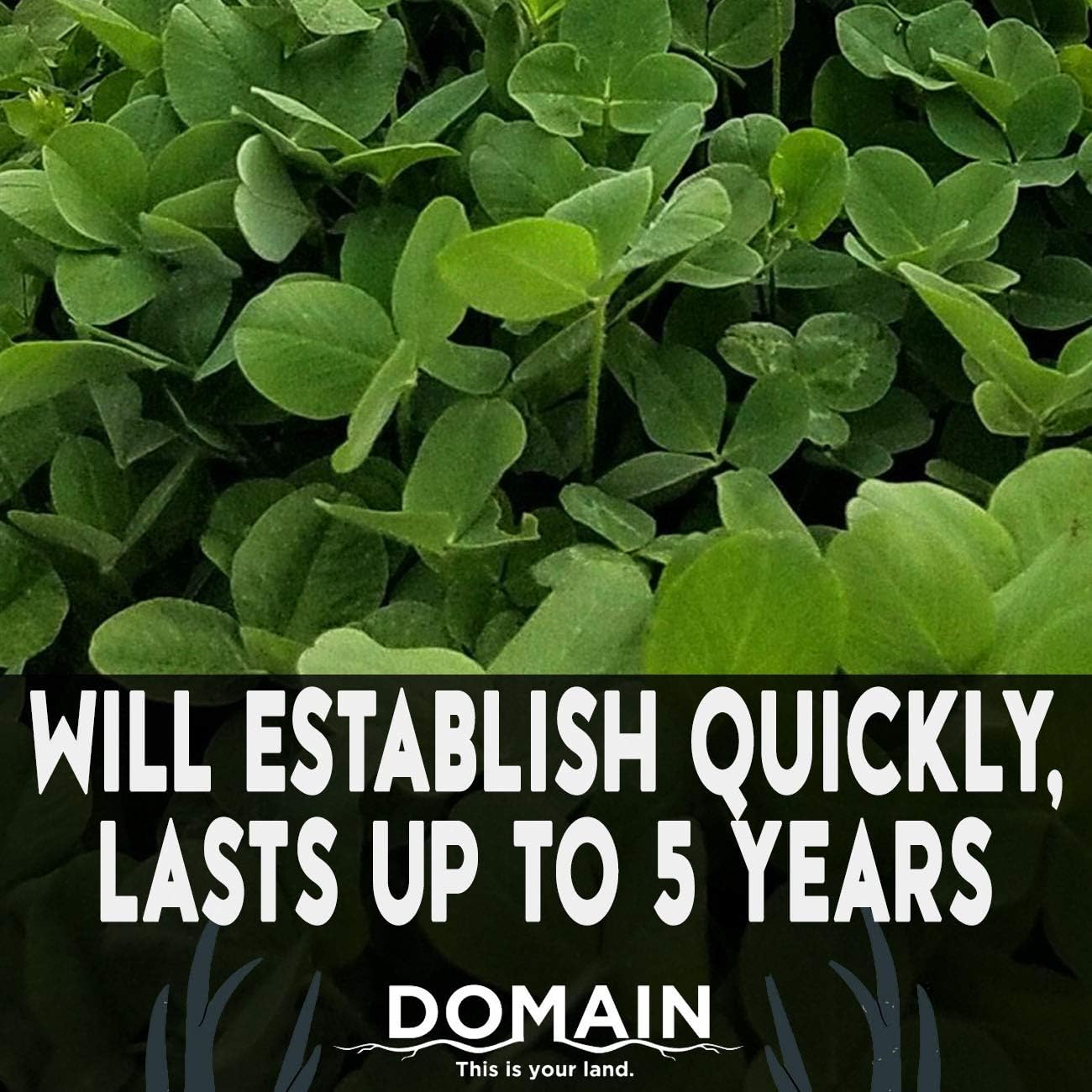 Domain Outdoor Comeback Kid Food Plot Seeds for Deer, Special Varieties of Clover & Alfalfa, Great to Plant in Spring, High Protein Forage, Year-Round Attraction, Lasts up to 5 Years, 1/2 Acre