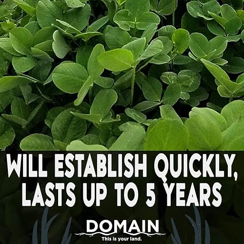 Miniatura 4 de Domain Outdoor Comeback Kid Food - Semillas para ciervos, variedades especiales de trébol y alfalfa, ideales para plantar en primavera, forraje alto