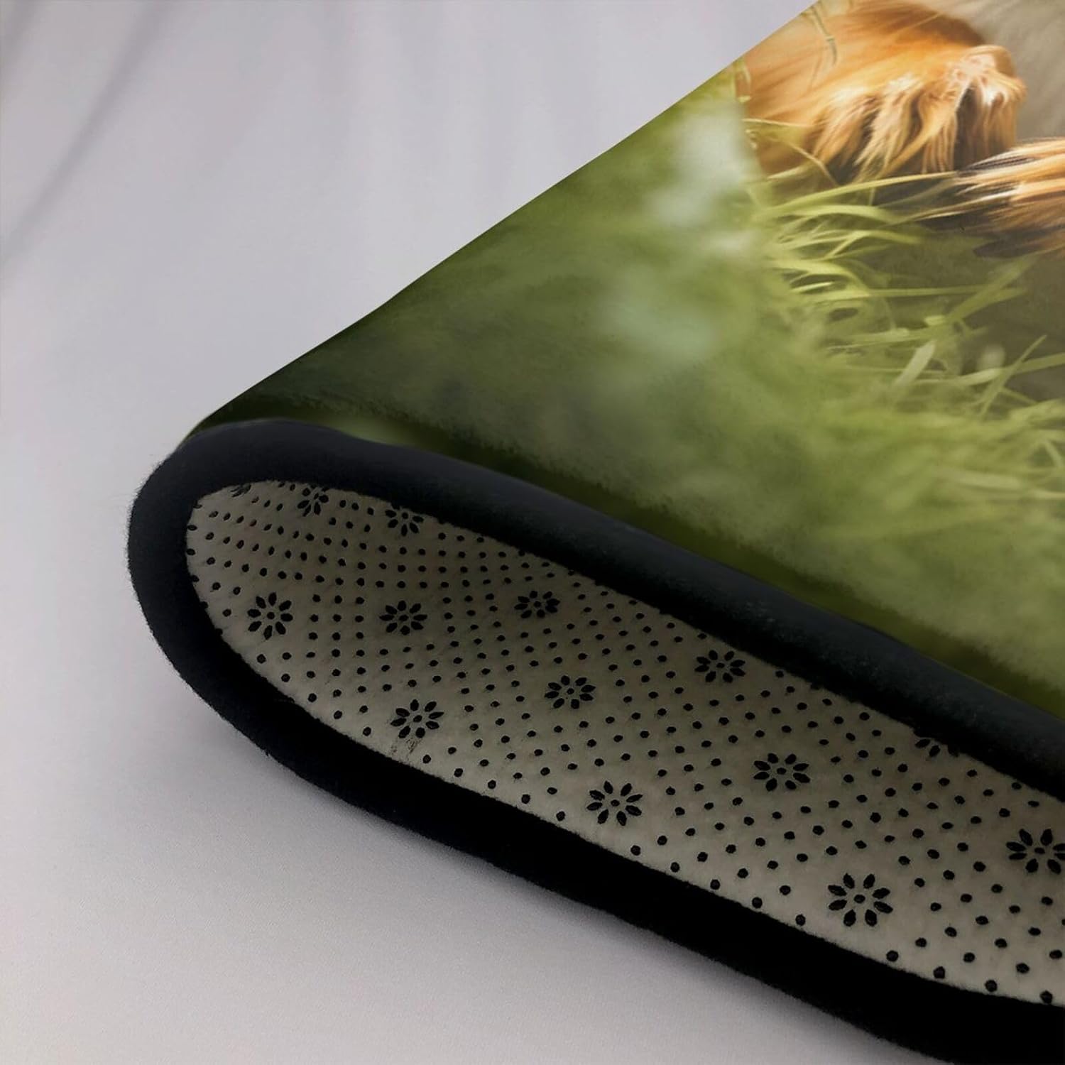 Cute Little Squirrel Printed Anti-Slip Floor mat Carpet Rug 72"x48" for Living Room Office Coffee Table Bed Balcony