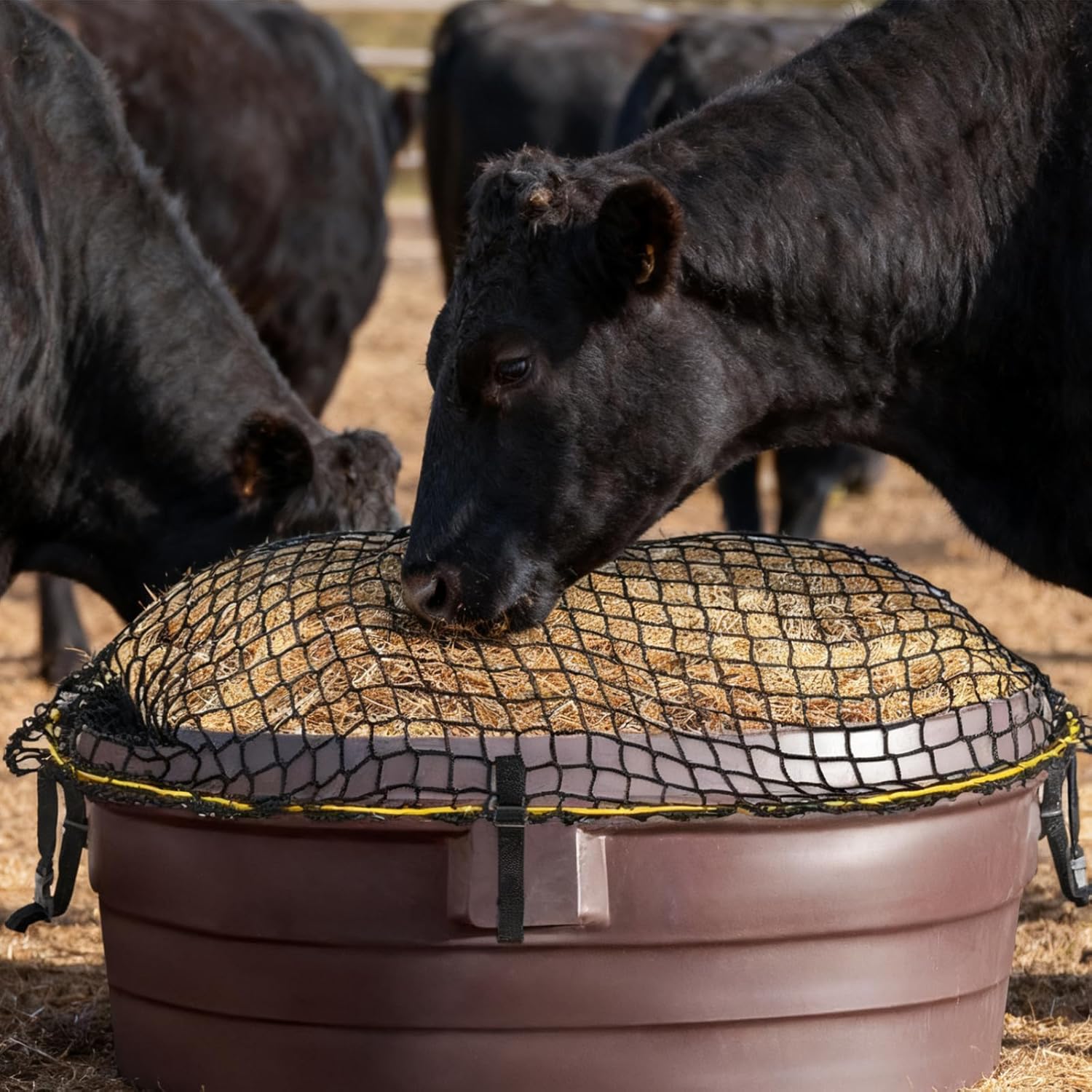 2 Pieces 74'' x 45''Heavy Duty Stock Tank Slow Feed Hay Net, with Buckle Adjustable Size, Durable Nylon Large Hay Net for Horses, Cattle, Sheep in Farms and Pastures (Stock Tank Not Included)