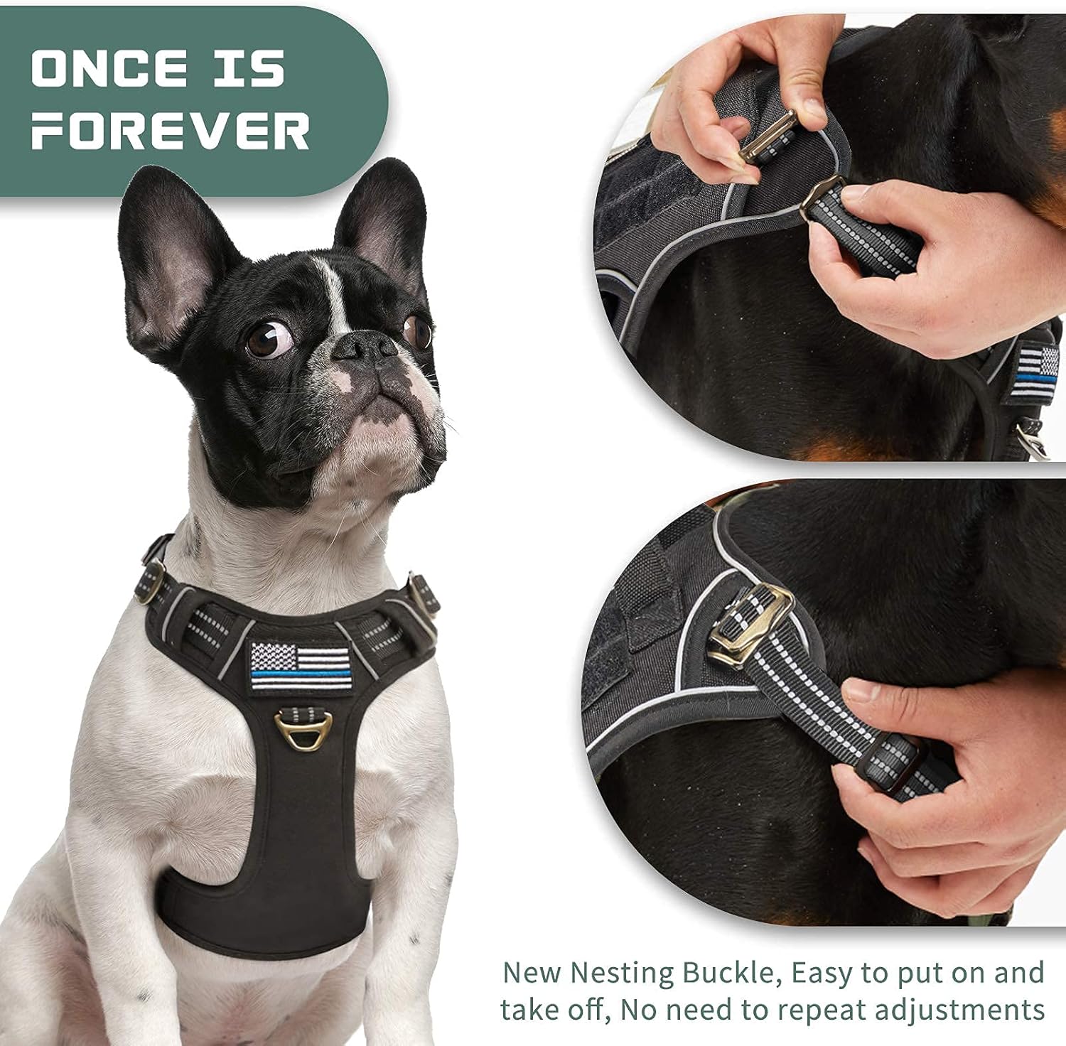 BUMBIN Dog Harness for Large Dogs No Pull, Tactical Dog Harness, with Handle, Adjustable Dog Vest Harness, 6Ft Bungee Dog Leash Large Dogs, No Pull Shock Absorbing Dog Leash with Car Seat Belt