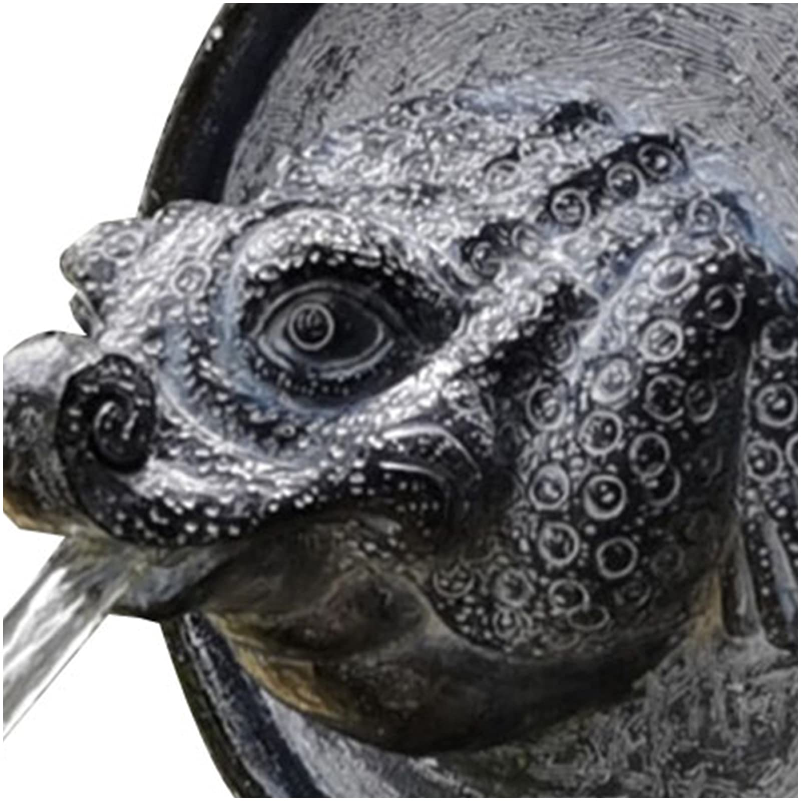 Toad - Fuente de agua para colgar en la pared, diseño de animales en 3D, para patio, jardín, terraza