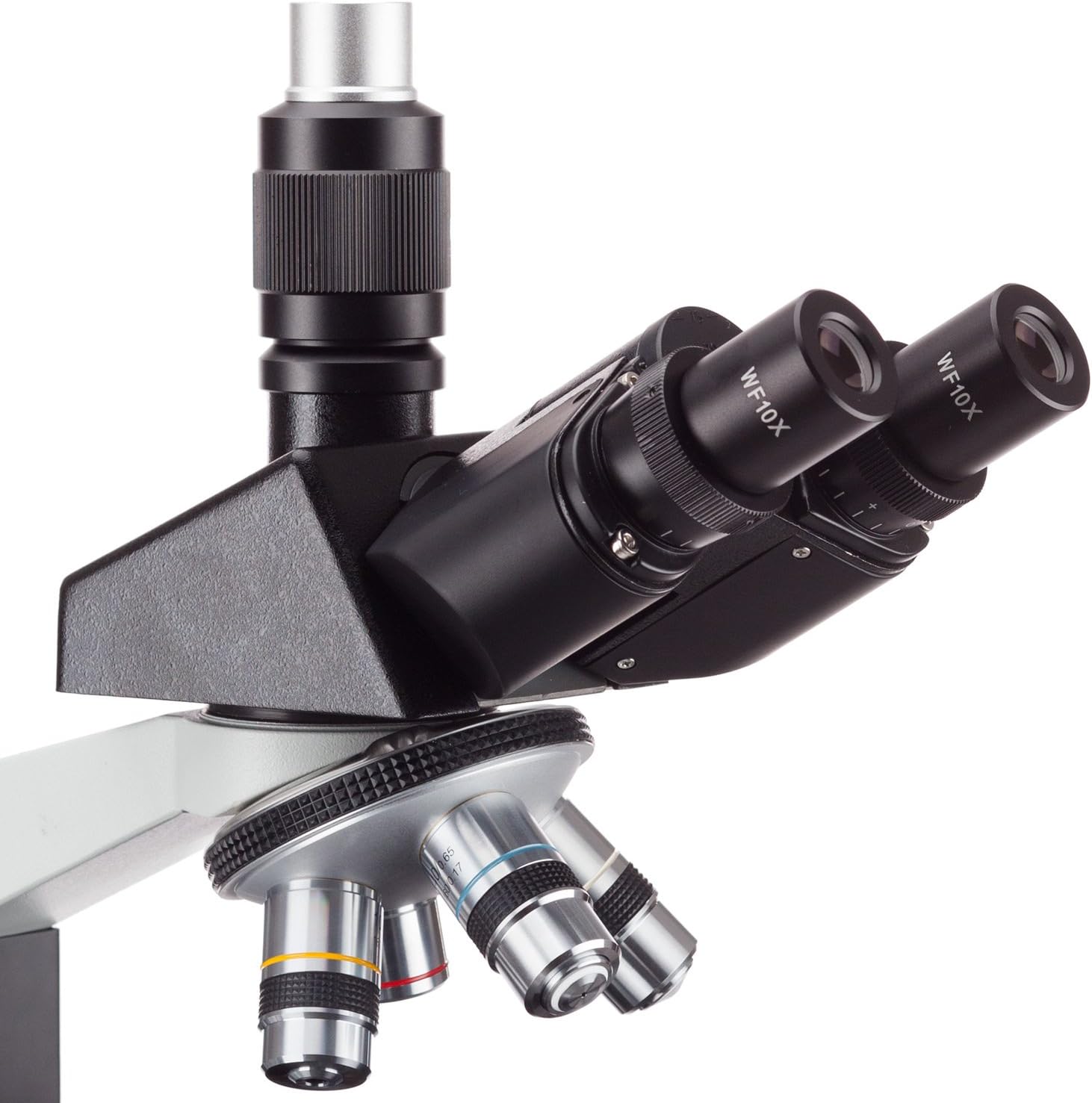 AmScope T490B-5MT Digital Compound Trinocular Microscope, WF10x and WF20x Eyepieces, 40X-2000X Magnification, Brightfield, Halogen Illumination, Abbe Condenser, Double-Layer Mechanical Stage, Sliding Head, High-Resolution Optics, Includes 5MP Camera with Reduction Lens and Software