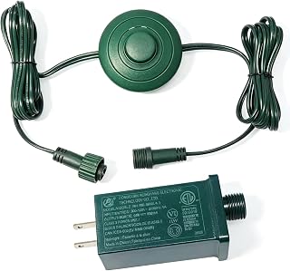 29V 6W LED String Light Power Supply,9.84FT Cord with ON/Off Foot Switch | Suitable for Christmas String Lights, LED String Lights, and Holiday Lighting; IP44，Low-Voltage Transformer Adapter