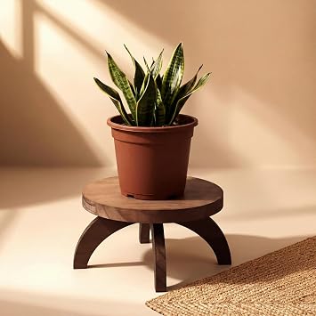 Novabright 2 Pcs Short Plant Stand Small Wood Plant Stool Low Wood Riser Pedestal Display Decor Indoor Outdoor Rustic Farmhouse Table Balcony Decor Board Flower Holder Rise Round,Rustic Color