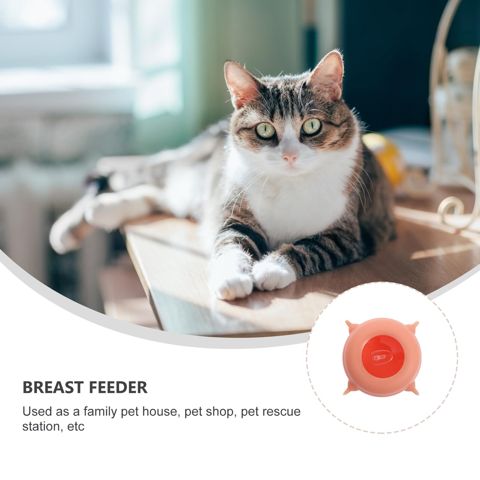 HEMOTON Alimentatore per Gattini in Silicone Leggero e Facile da Conservare, Strumento per Allattamento di Animali Domestici Appena Nati, Accessorio la Nutrizione