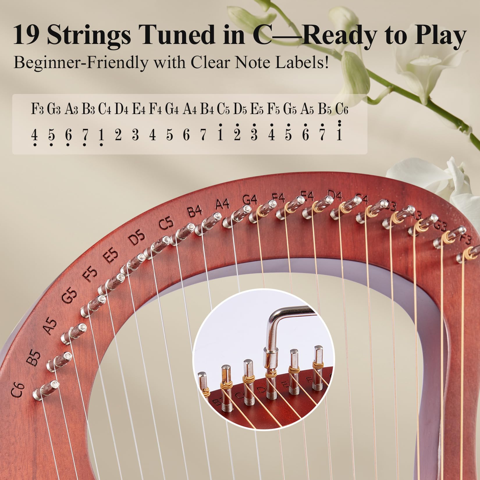 Lyre Harp, 19-snarige harp, metalen snaar mahonie instrument, met stemsleutel, plectrum, snaren, voor beginners muziekliefhebbers volwassen, gemakkelijk te gebruiken (Color : Log color