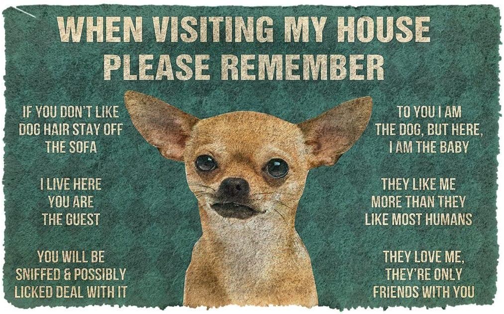 Funny Chihuahua House Rules Doormat “When Visiting My House Please Remember”, Chihuahua Dog Lover Humor Welcome Mat, Indoor Outdoor Entry Rug for Front Door, Porch or Home Decor