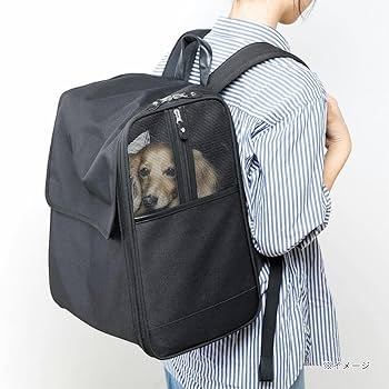 Amazon.co.jp: カインズ(CAINZ) ペット用リュックキャリー