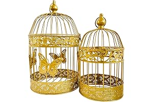Gold Bird Cage: A Decorative Home Essential for Extra Charm