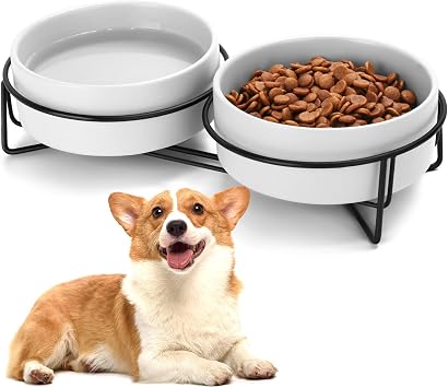 Ceramic Dog and Cat Bowl Set with Stand, 1.7 Cups Dog Food and Water Bowl Suitable for Small and Medium Pets 13.5oz White