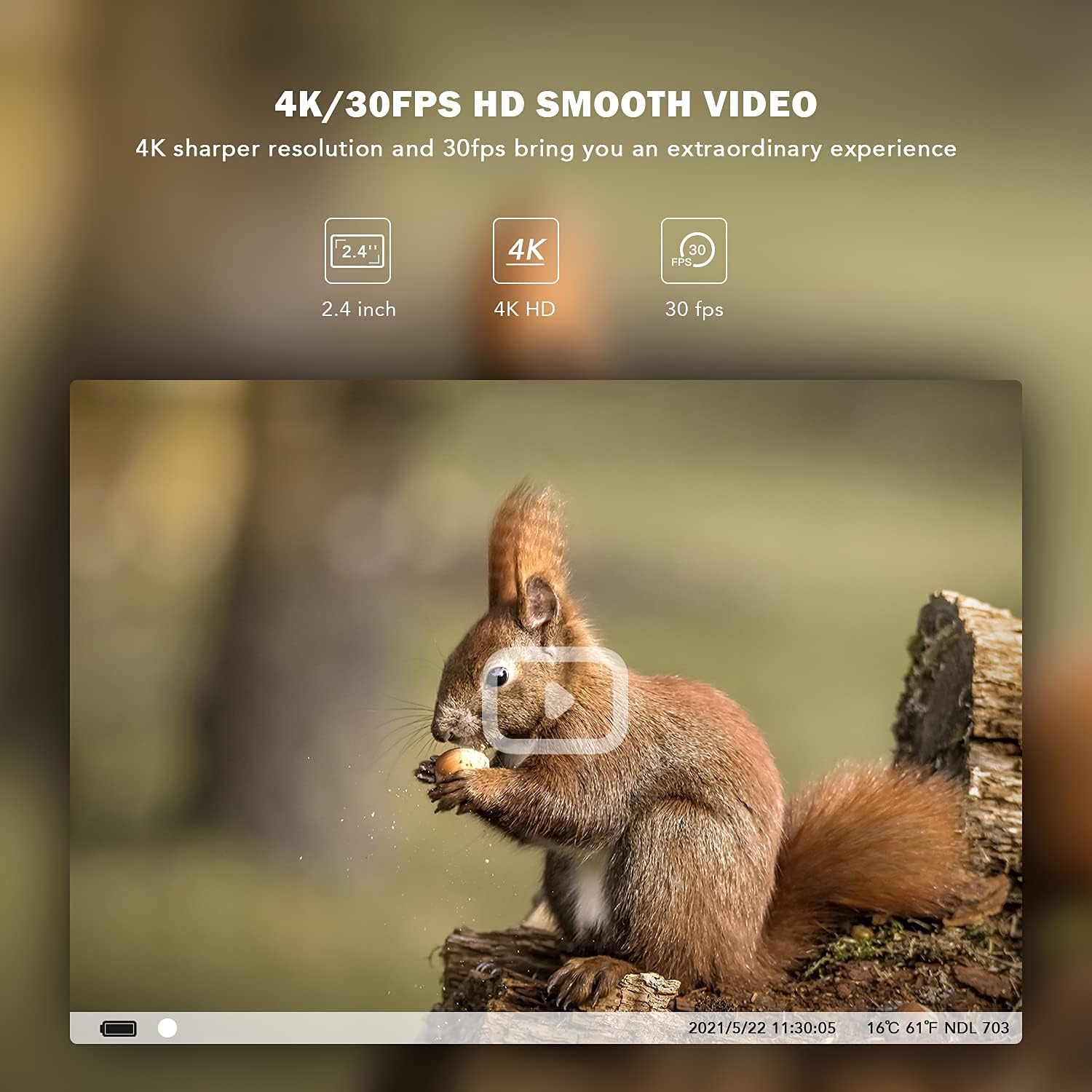 A squirrel captured in 4K/30fps video by the usogood DL503 Trail Camera