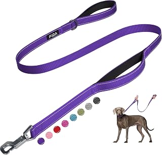Fida Heavy Duty Dog Leash for Medium Large Dogs, 5 FT, Dual Padded Handles