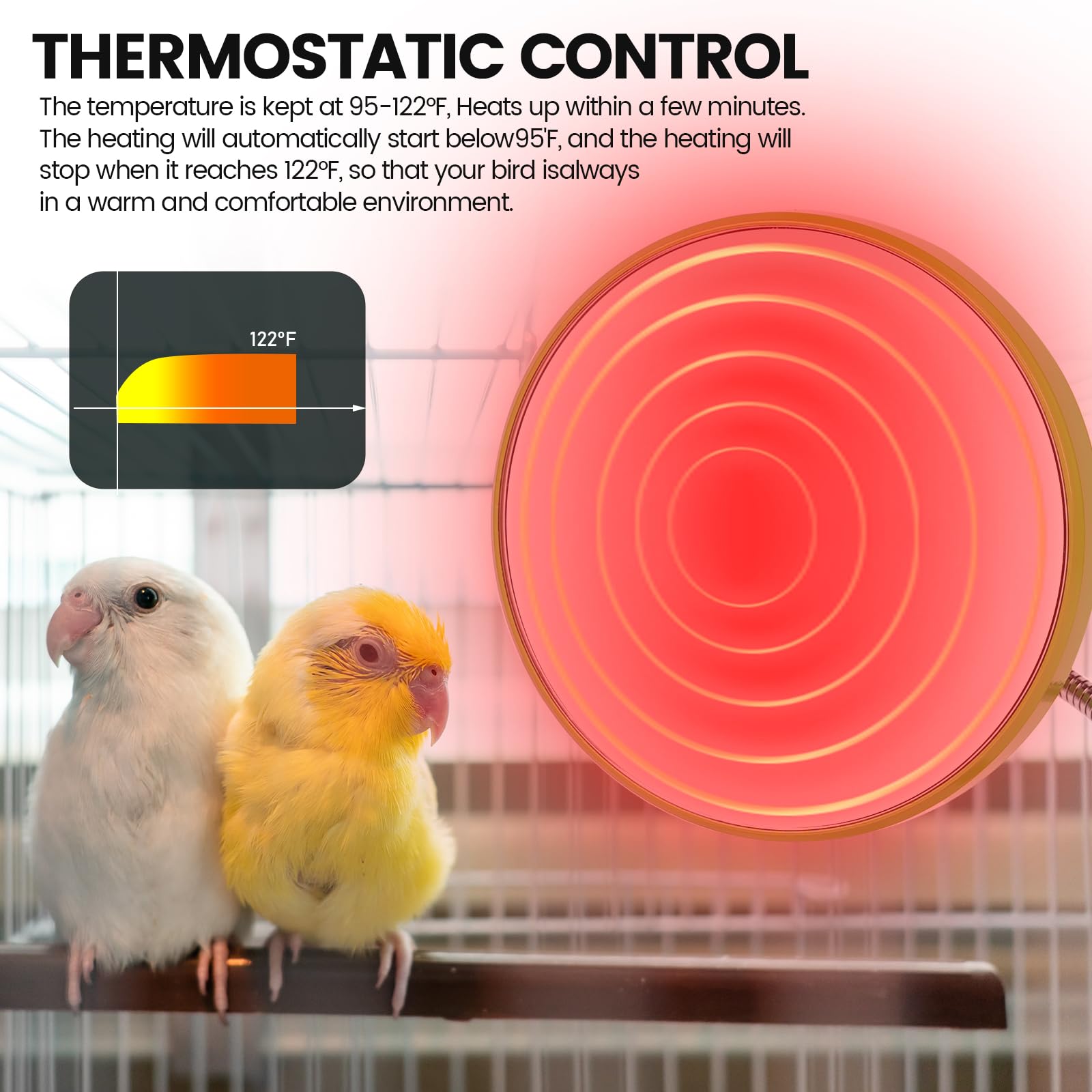 Hozaenwa Riscaldatore Uccelli - Termostato Riscaldante Per Pappagalli E Uccelli | Accessorio Riscaldante per Pappagalli Conuri Voliere Conigli Criceti Animali Piccoli