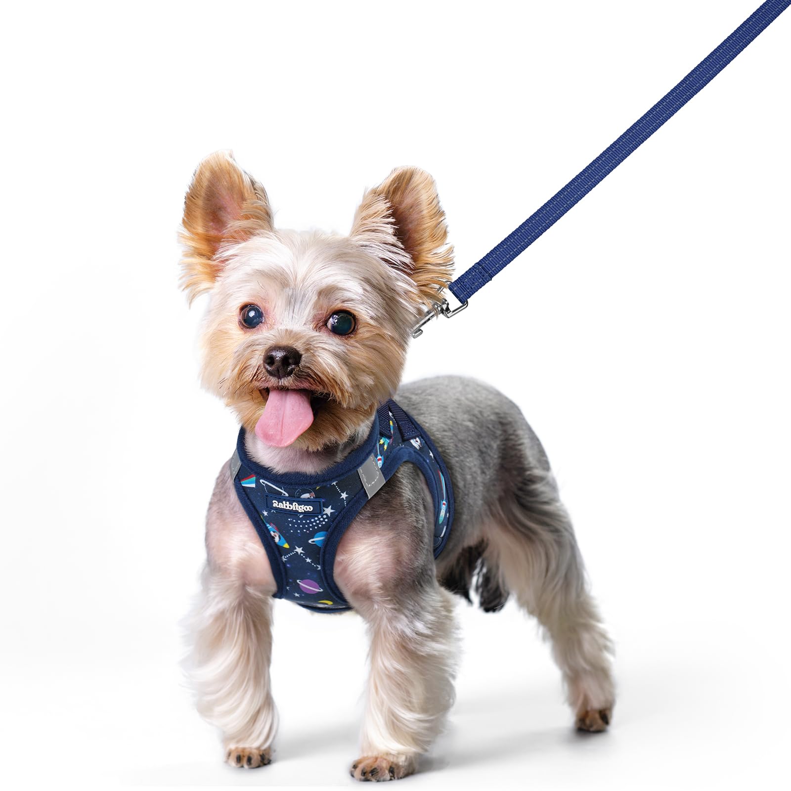 rabbitgoo Dog Harness Small Sized and Leash Set, Step-in Puppy Pet Vest
