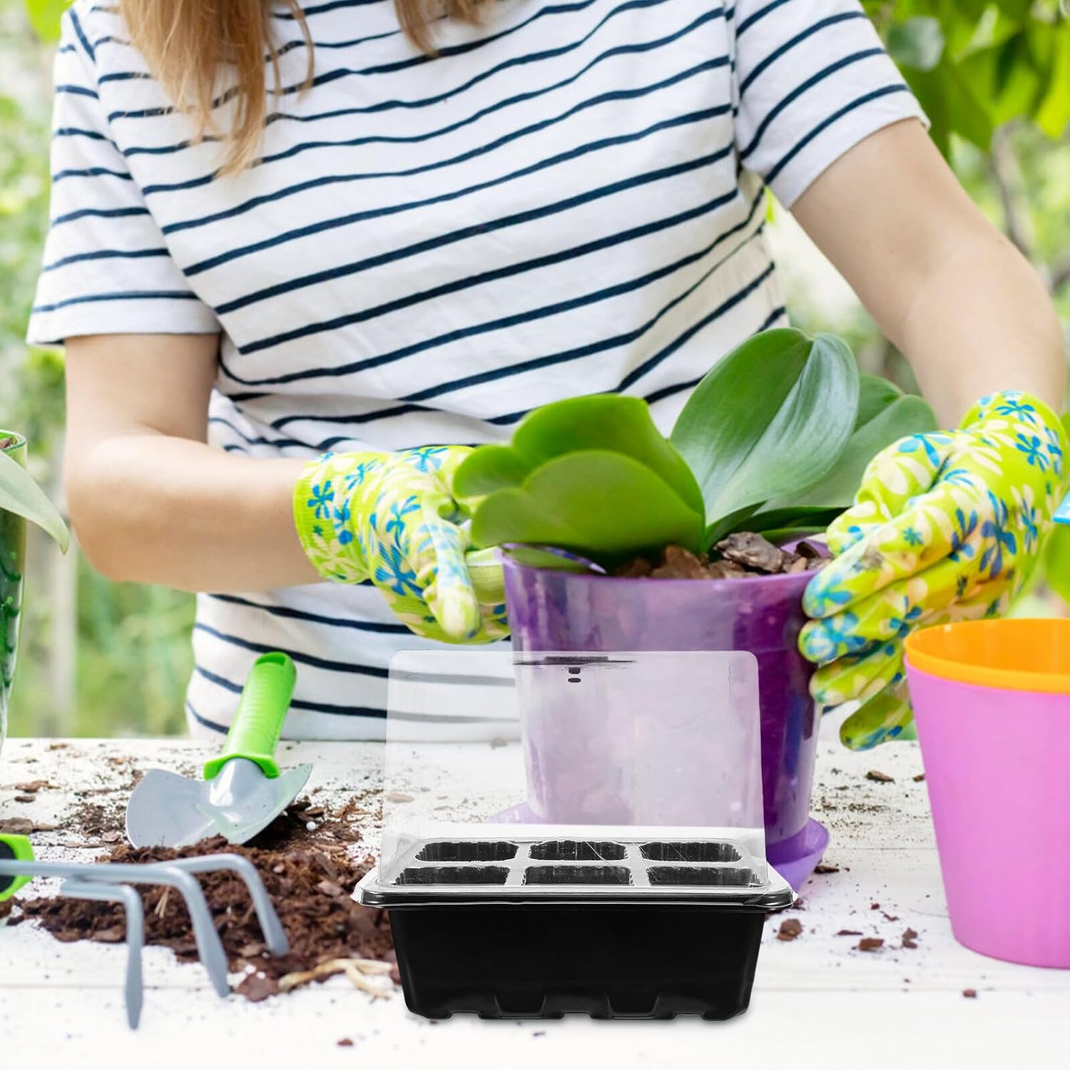 NUOBESTY Seed Starter Tray Set with Ventilated Plastic Germination Boxes and Humidity Domes for Indoor Gardening, Vegetable Seedling Propagation Kit with 6-Cell Black Trays, 10pcs with 2
