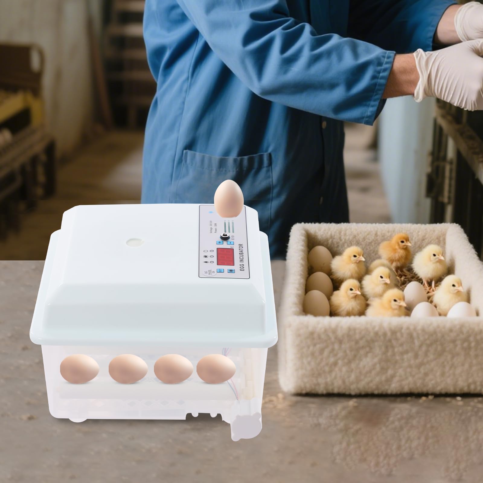 Incubatore automatico completamente automatico, incubatrice automatica per 16 uova, incubatrice pollame, incubatrice a rotazione automatica, incubatrice elettrica con schermo per pollo, anatra, oca