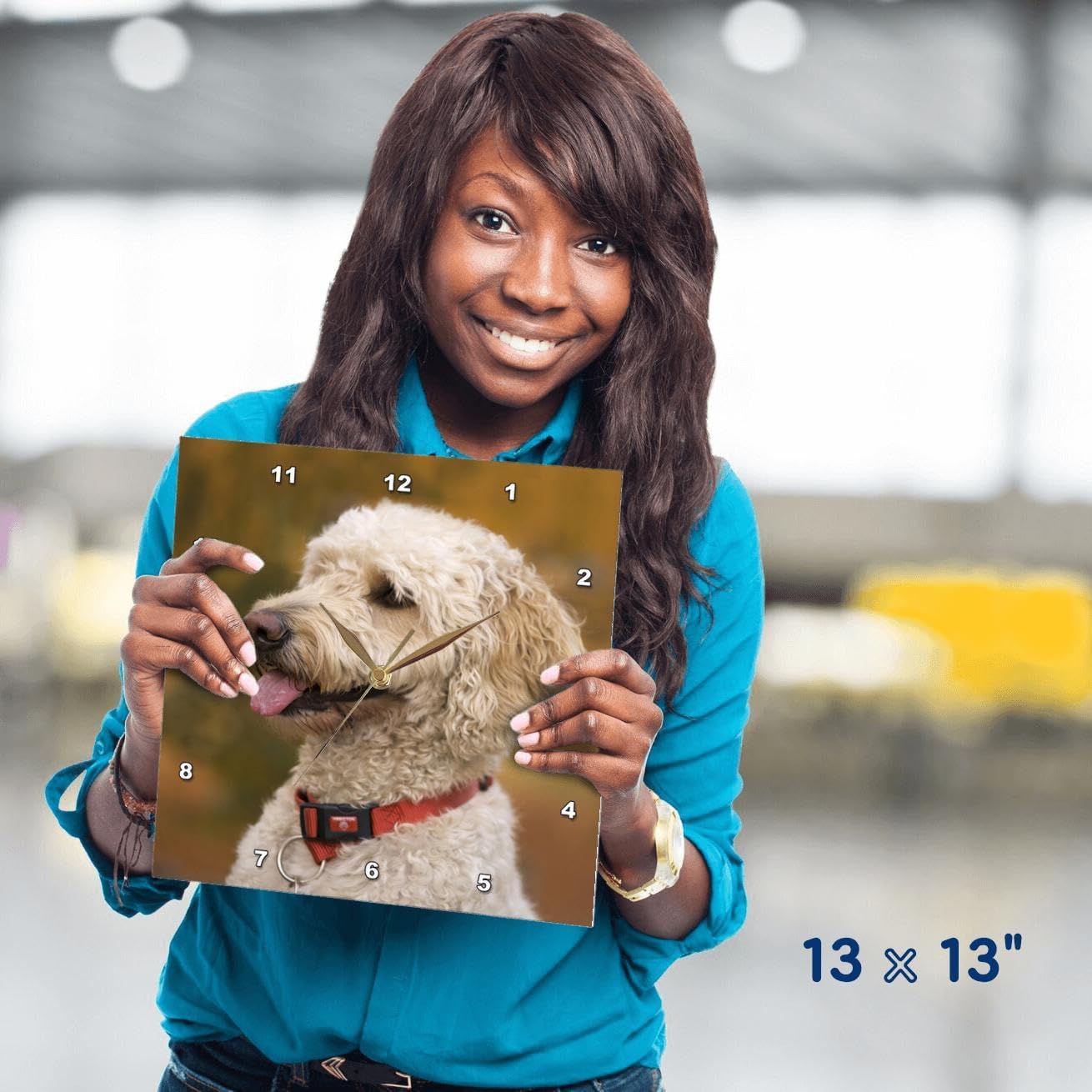 3dRose DPP_90839_2 Massachusetts, Reading, Labradoodle Dog - US22 JEN0071 - Jim Engelbrecht - Wall Clock, 13 by 13-Inch