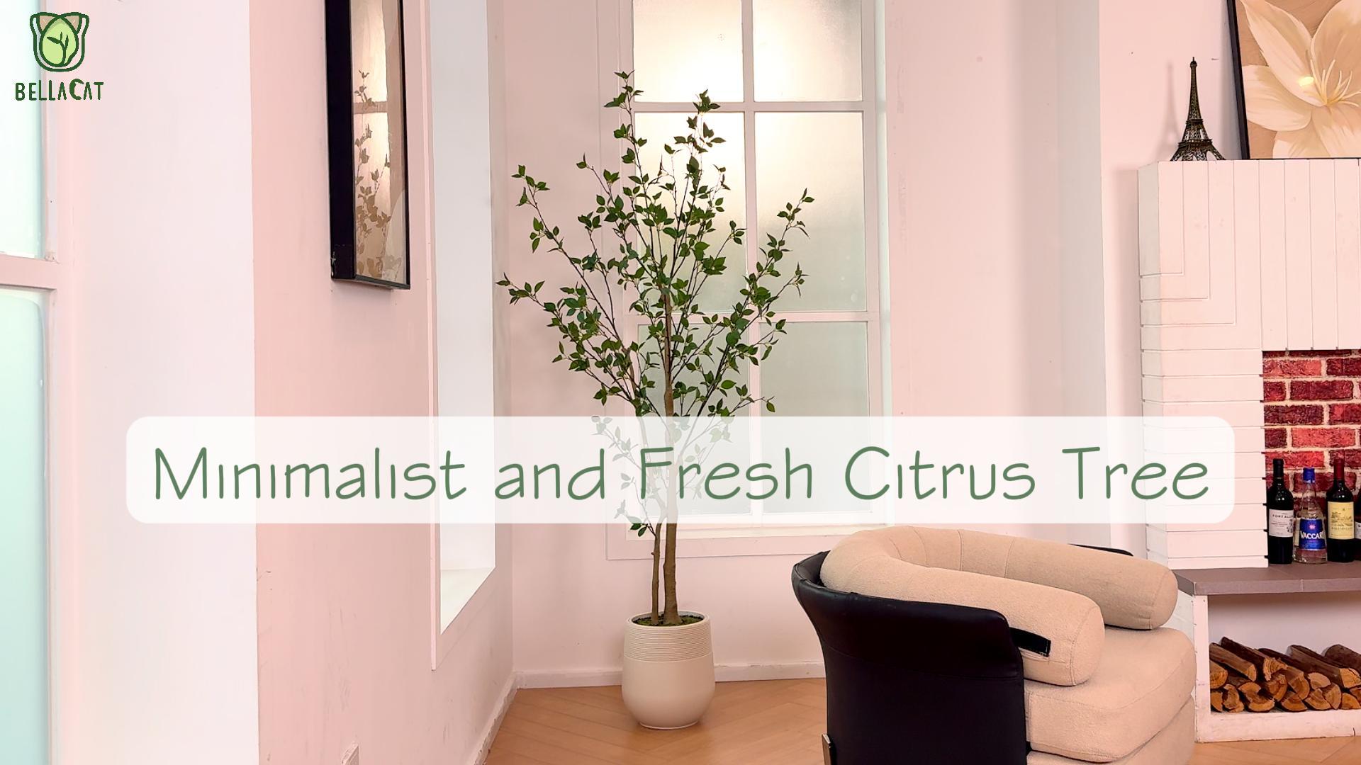 Amazon.com: Bellacat 6ft Artificial Minimalist Citrus Tree with