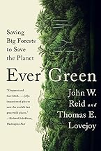 Ever Green: Saving Big Forests to Save the Planet
