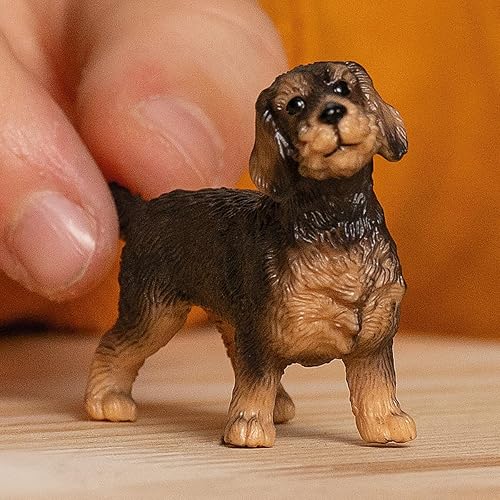 Miniatura 2 de Schleich Perro salchicha de pelo de alambre