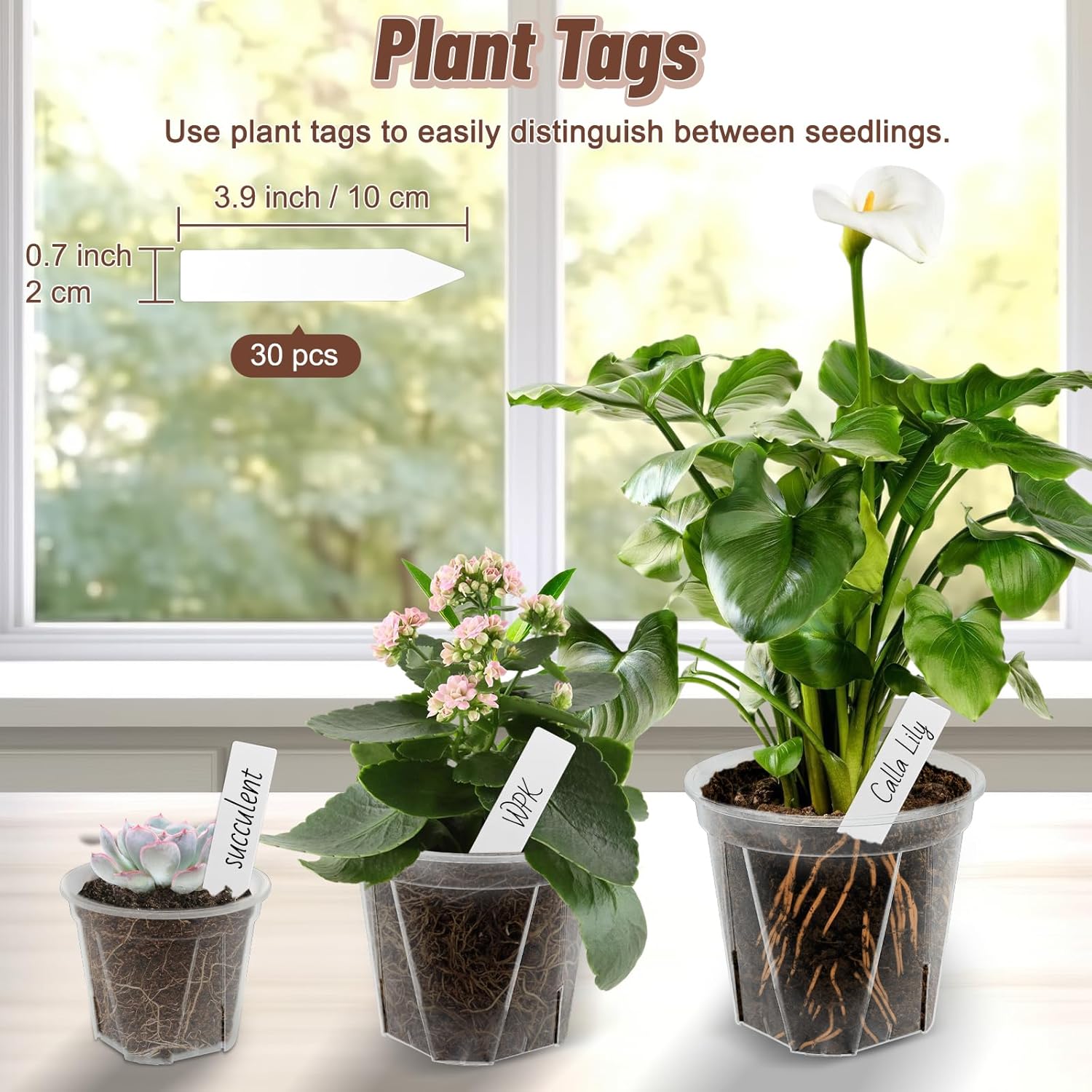 Clear Nursery Pots with Drainage, 40 Pack Transparent Plastic Orchid Planters, 3 Sizes Plant Pots 6/5/4 Inch with 40 Plant Labels for Seedlings, Succulents, Indoor/Outdoor Repotting