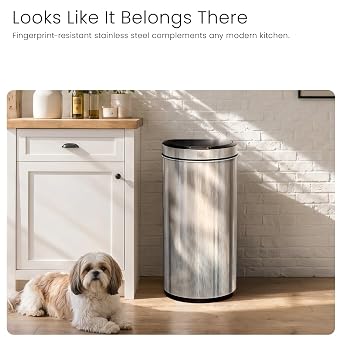 Home Zone Living 16 Gallon Motion Sensor Trash Can with Automatic Lid