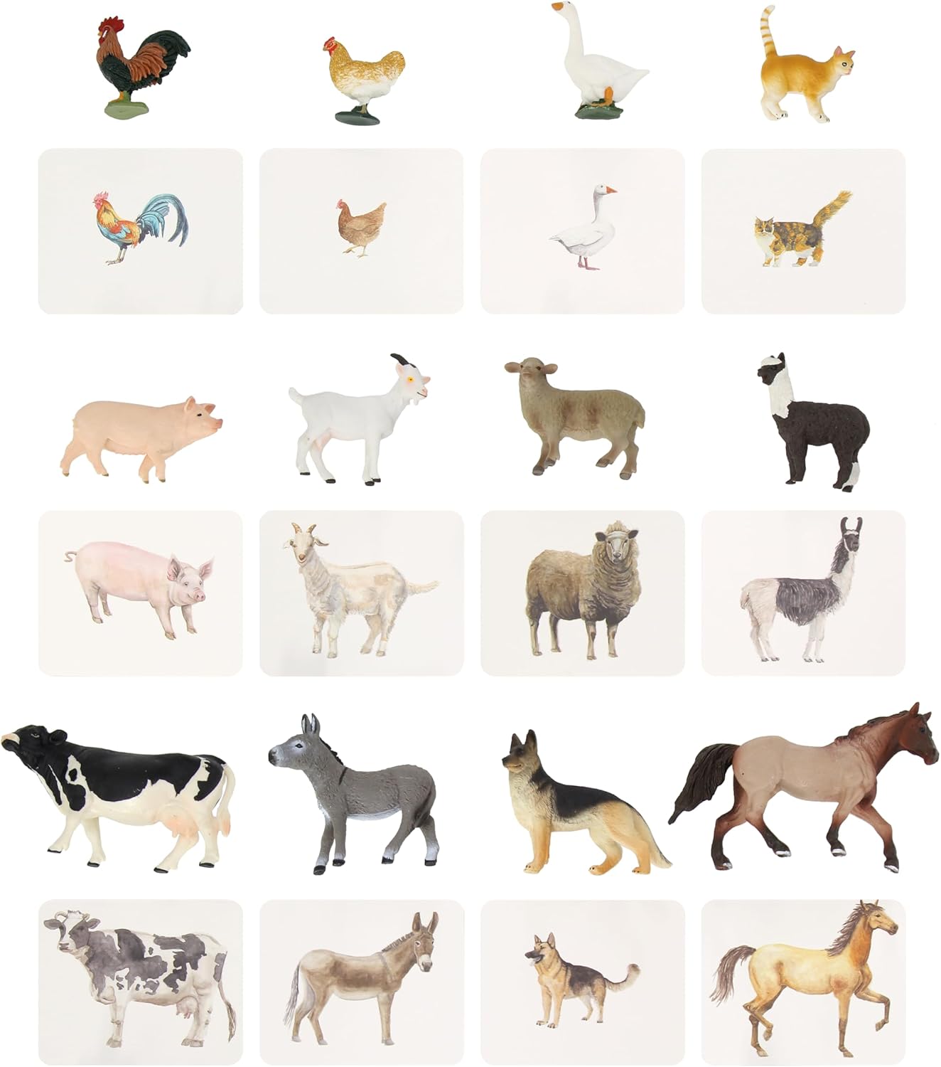 Montessori Language Materials Objects with Similar Cards 12pcs Mini Farm Animal Replicas with Matching Picture Cards Preschool Science Education Matching Game