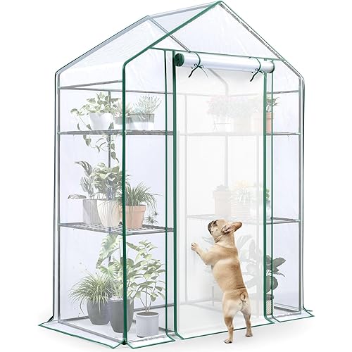 Quictent Walk-in Greenhouse for Outdoors, 56x29x77 in Portable Small Greenhouse with Shelves, Screen Door & Mesh Windows, Plastic Cover & Steel Frame, for Garden Backyard Patio Plant Seedling, Clear