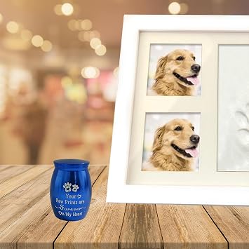 Small Pet Urns for Dogs Ashes Mini Urn Dog Ashes Cremation Keepsake Pet Memorial Urns Gift,Blue A
