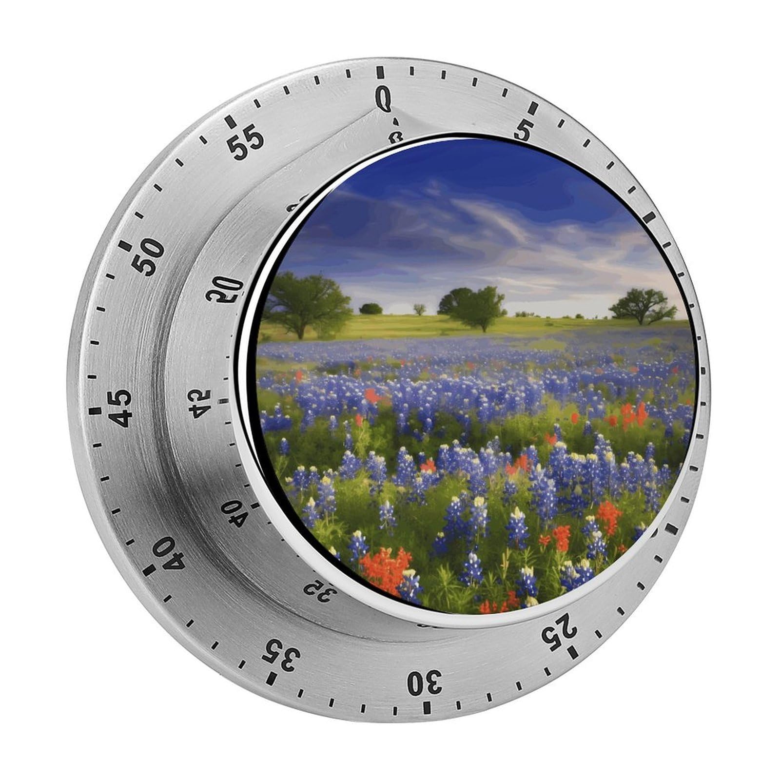 Texas Bluebonnets Scenery Timer Exquisite Stainless Steel Body Mechanical Desk Timers 60 Minutes Visual Countdown Timers with Magnetic Backing Loud Alarm Kitchen Timer for Cooking