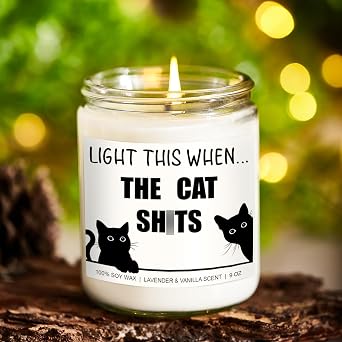 Younift Candle, Cat Lover Gifts for Women, Men - Funny Mothers Day, Birthday Gifts for Cat Lovers, Mom, Dad, Lady, Girls, Boys, Teens, Parents, Owners - Black Cat Themed Presents & Stuff - 9 oz