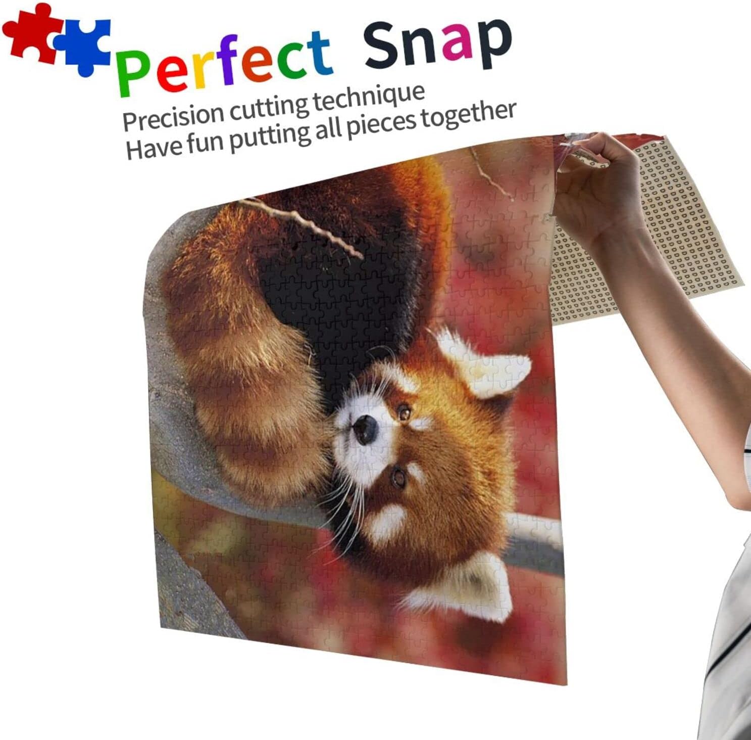 Red Panda 1000 Piece Jigsaw Puzzle Jigsaw Puzzles for Adults Children The Young Jigsaw Puzzles for Adult Puzzle Game 1000 Piece Toys Gift