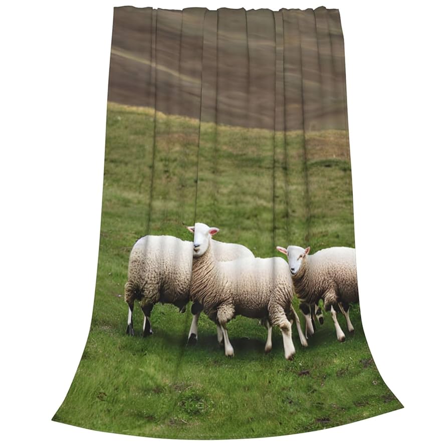 最終値下げMaison STRAM SHEEP 羊デザインブランケット 最終値下げMaison STRAM SHEEP 羊デザインブランケット