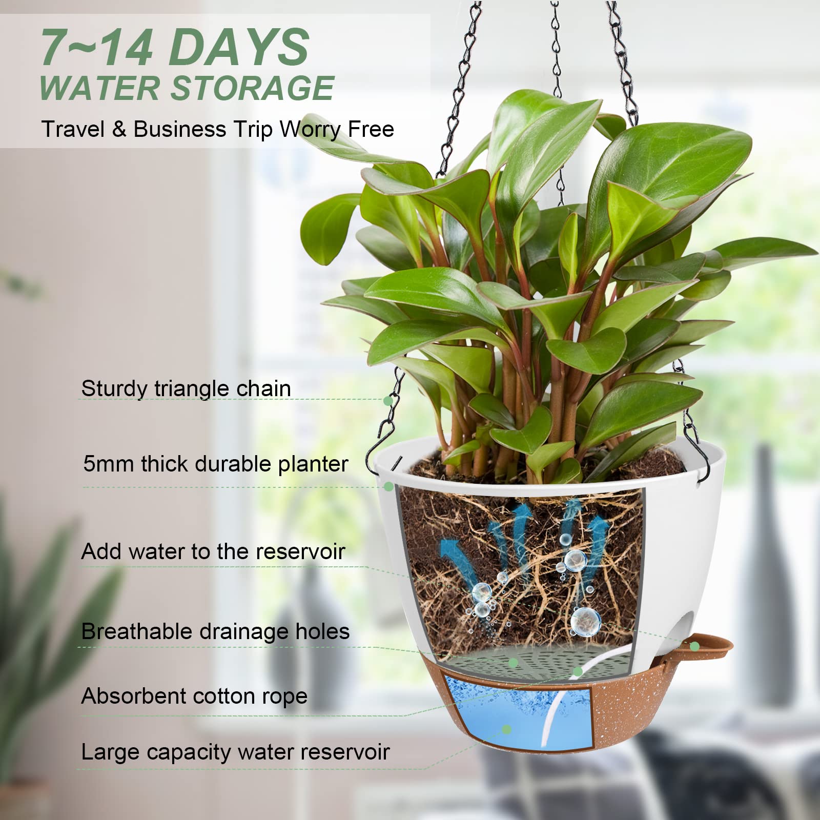 Amazon.com: Vanslogreen Hanging Planters for Indoor Outdoor Plants, 2 Pack  Self Watering Hanging Pot with Drainage Holes & Removable Tray (White, 8'')  : Patio, Lawn & Garden