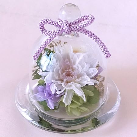 Amazon プリザーブドフラワー 花 お供え お悔やみ 仏花 仏壇用 お盆 供養 法事 1周忌 3回忌 ペット ドーム まめ菊 ホワイト プリザーブドフラワー オンライン通販