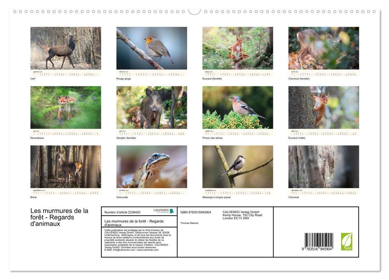 Murmures de foret regards d animaux cale: Un calendrier fascinant qui re