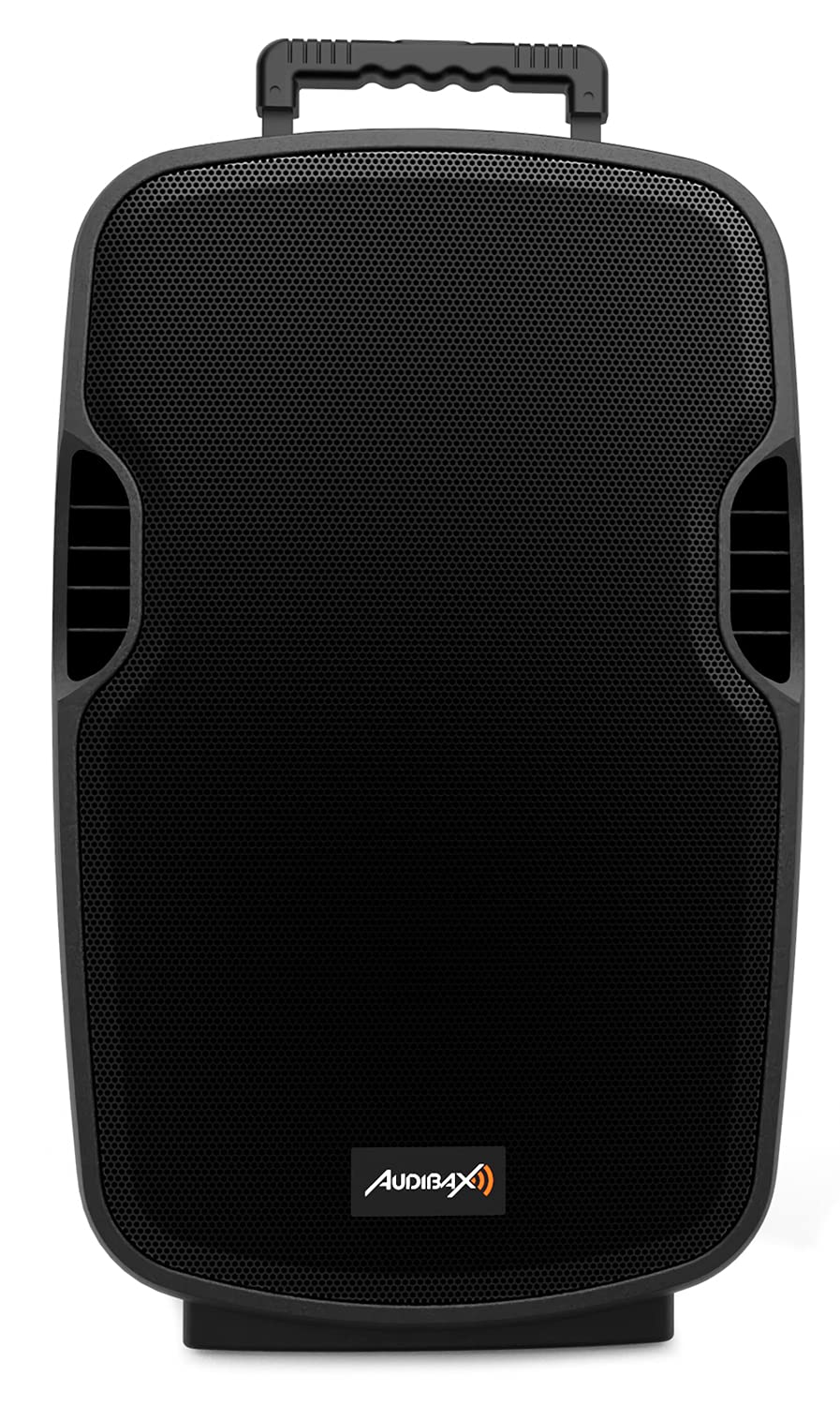 Audibax Denver Altoparlante Combo Port 15 VHF. Cassa Bluetooth - Trolley System, Caricatore per Batteria + Cavo 12 V. 2 Microfoni Wireless, Nero. Misure: 485 x 445 x 740 ml