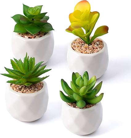 Amazon Mocoosy ミニ人工多肉植物 鉢入り フェイク多肉植物セット ホワイトセラミックプランターポット付き 人工多肉植物 人工鉢植え ホームオフィス 寝室装飾用 4個パック 人工観葉植物 オンライン通販