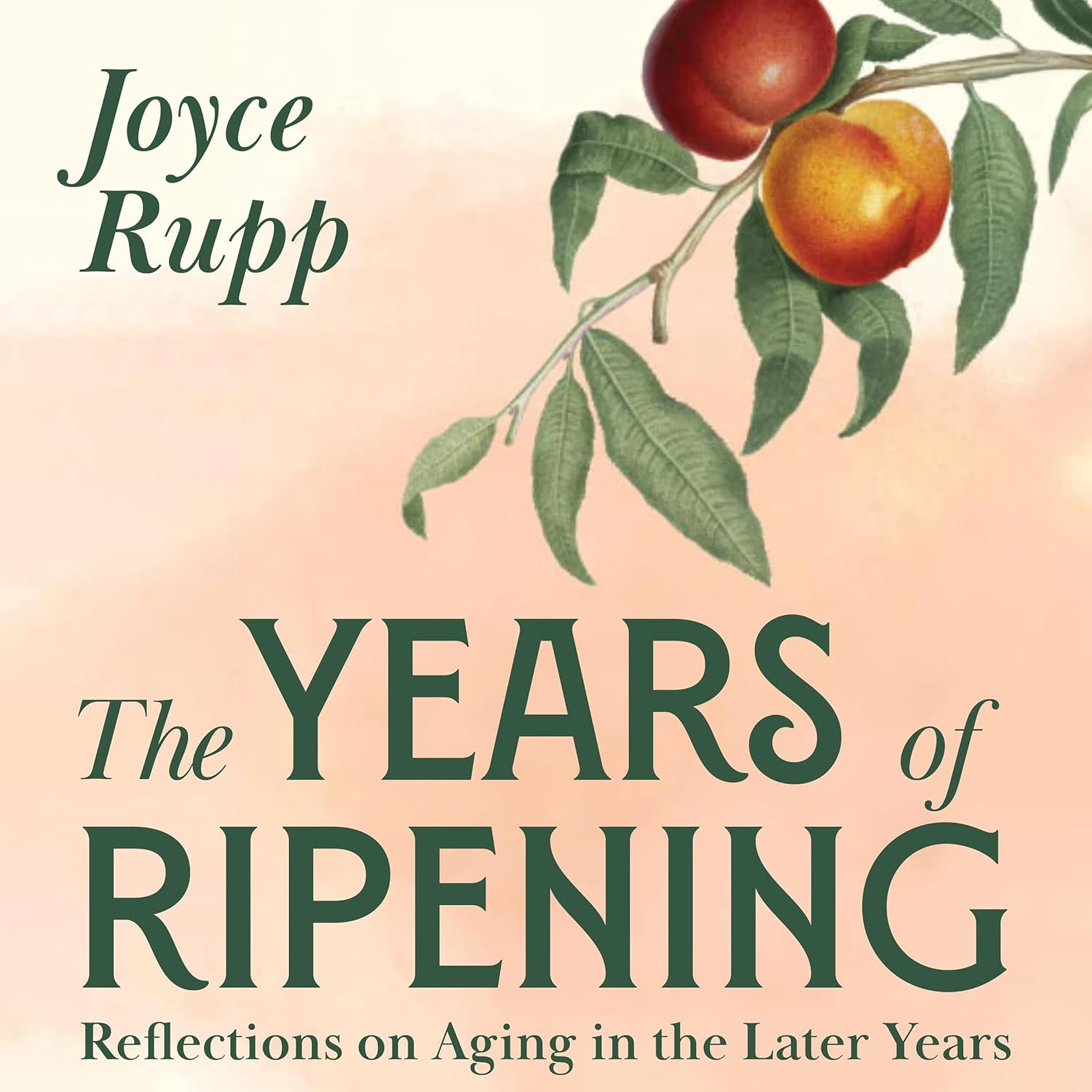 Reflections on Aging in the Later Years