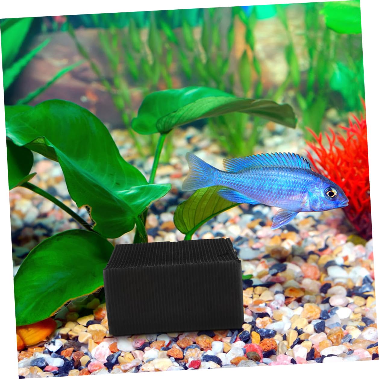Lot de 2 cubes filtrants à eau en charbon actif pour abreuvoir pour chevaux et aquariums - Réduction des odeurs - Durable - Installation facile - Cube de nettoyage pour animaux de ferme
