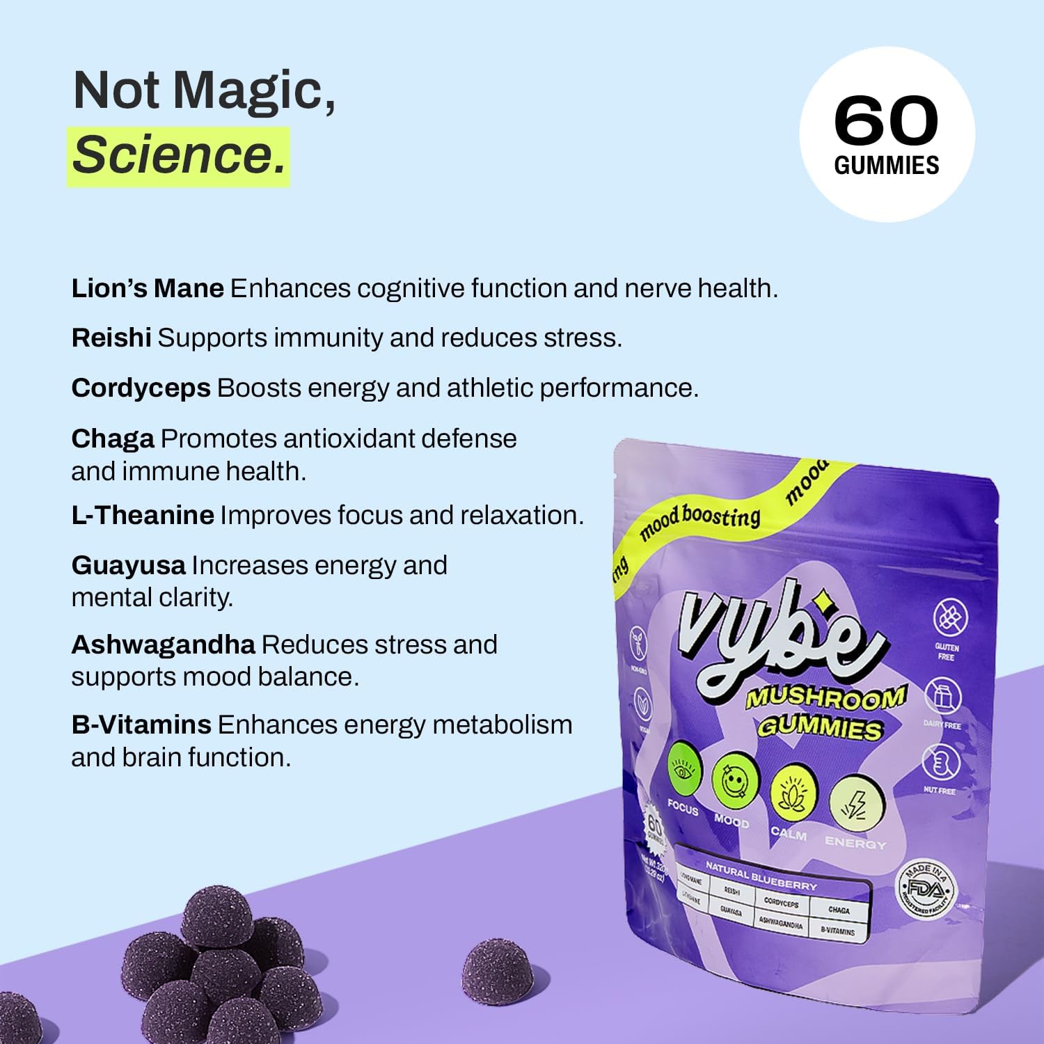 Vybe Daily Nootropic Gummies – 8-in-1 Mushroom & Adaptogen Brain Supplement for Focus, Energy, and Mood with Lion's Mane, Cordyceps, Reishi, Chaga, Ashwagandha (Blueberry, 60-Count) - Image 5