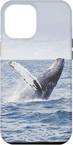 iPhone 12 Pro Max Humpback Whale - Estuche de regalo