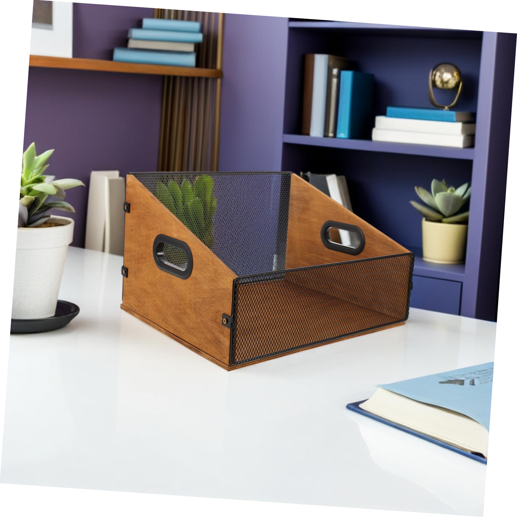 Scatola Porta Dischi in Legno Solido con Manici Organizer da Scrivania in Stile Naturale per Vinili Libri e Album Protezione Antigraffio e Ampio Spazio