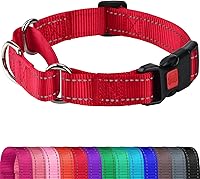 Vista 15 de Joytale Collar Martingale para perros, reflectante resistente para mayor seguridad, hebilla de liberación rápida, collares de nailon ajustables