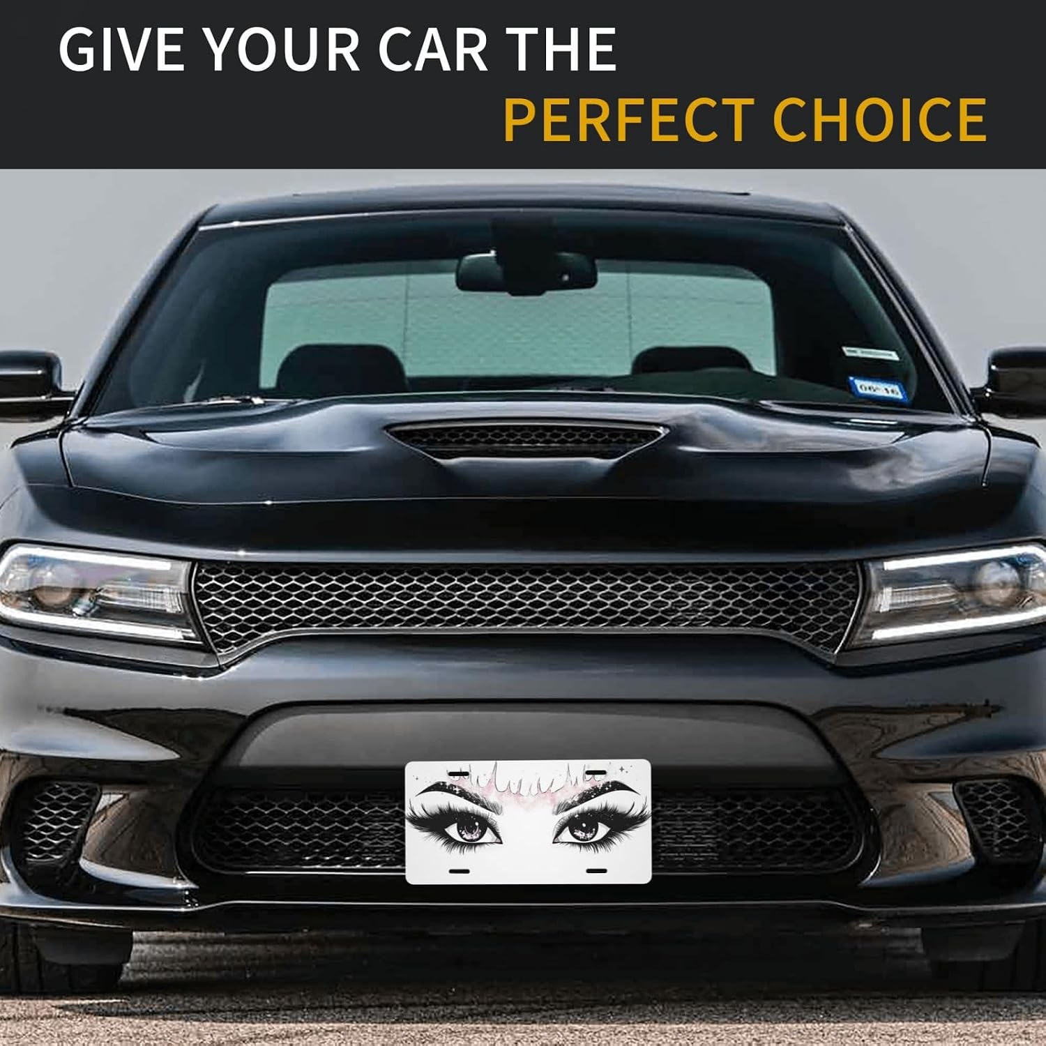 Women's Eyes License Plate image 5