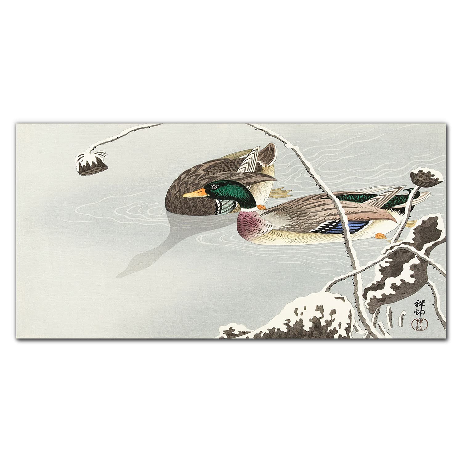 Crédence de cuisine en verre protection murale 140x70cm adhésive oiseaux