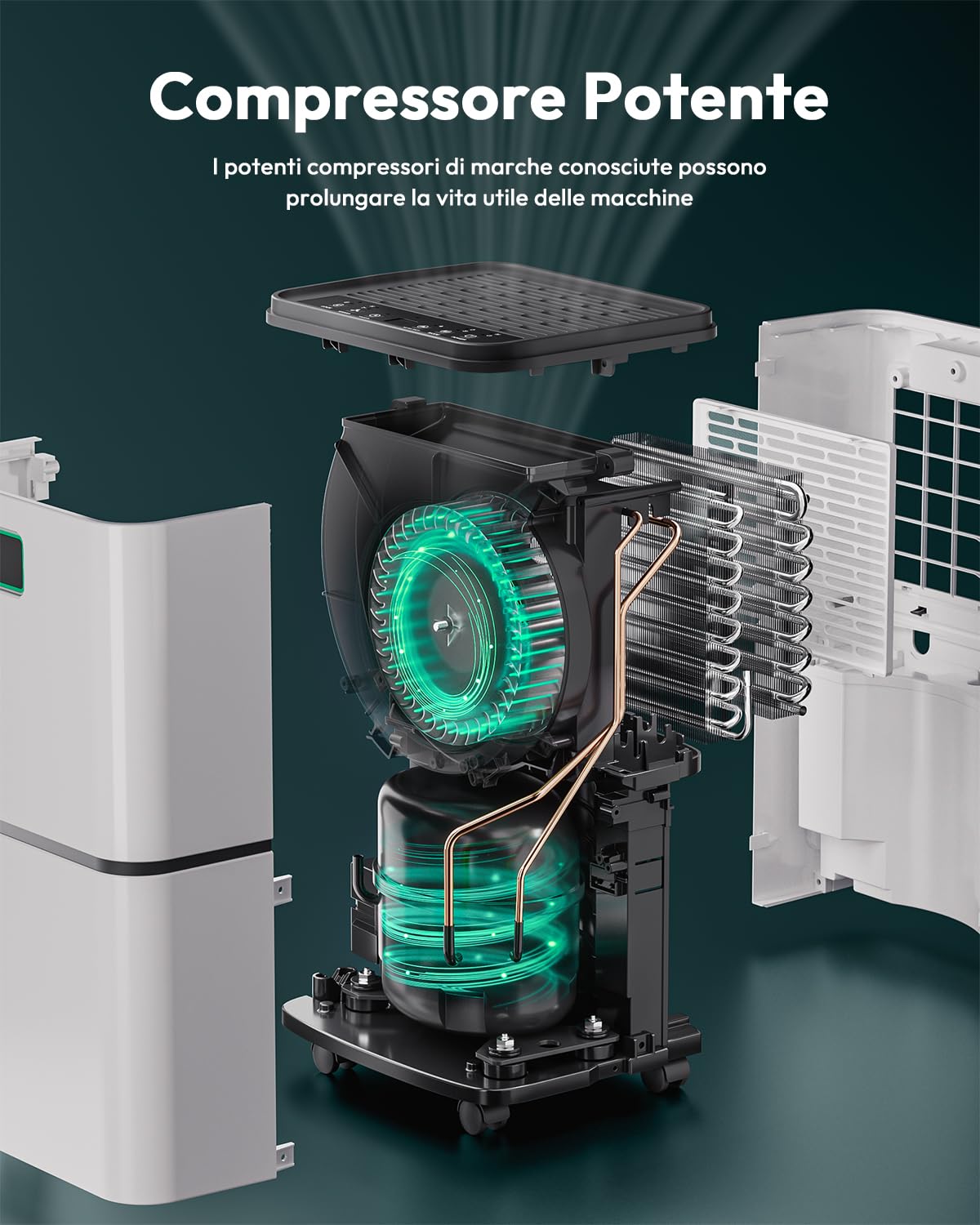 Deumidificatore Casa Muffa 12L/Giorno Per Ambienti di Circa 80 m³/30 m², 36 dB Deumidificatore Con Tubo di Scarico, Timer 24h on/off e Indicatore LED, Per Cantina, Soggiorno, Camera da Letto, Bagno